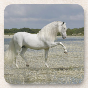 Posavasos Caballos de la fantasía: Señor del lago