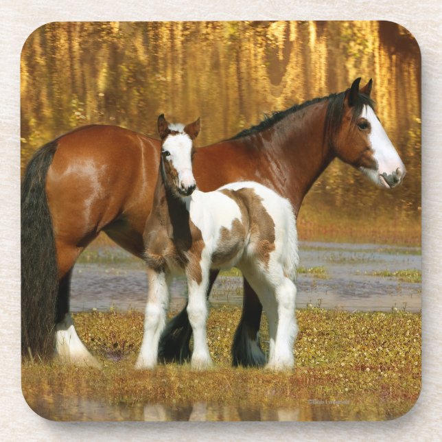 Posavasos Caballos de la fantasía: Yegua y potro (Frente)