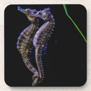 Posavasos Caballos de mar (Seahorses)