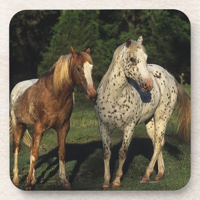 Posavasos Caballos del Appaloosa (Frente)