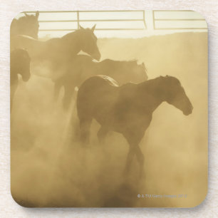 Posavasos Caballos en corral