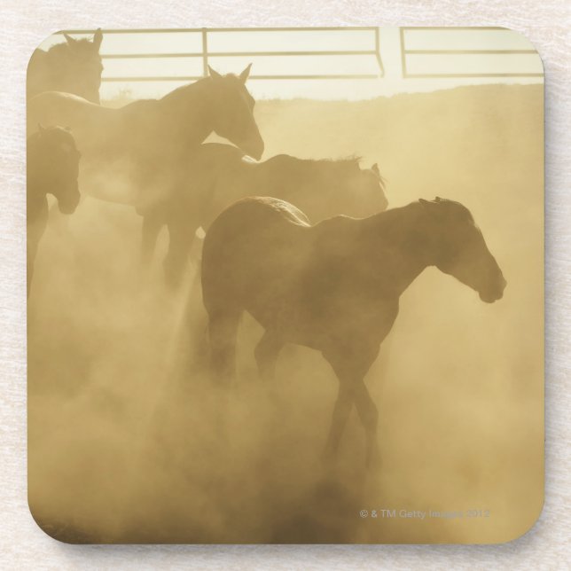 Posavasos Caballos en corral (Frente)