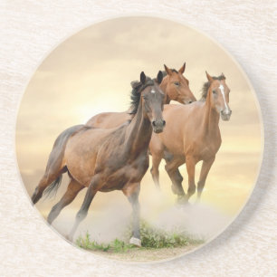 Posavasos Caballos en puesta del sol
