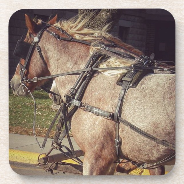 Posavasos Caballos hermosos (Frente)