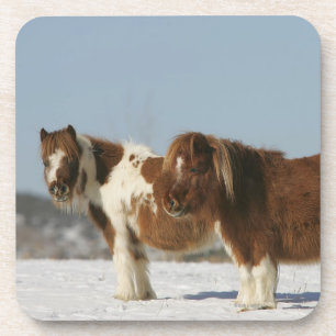 Posavasos Caballos miniatura que se colocan en la nieve