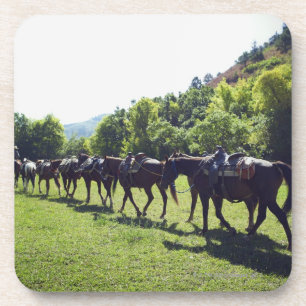 Posavasos Caballos que caminan en una línea