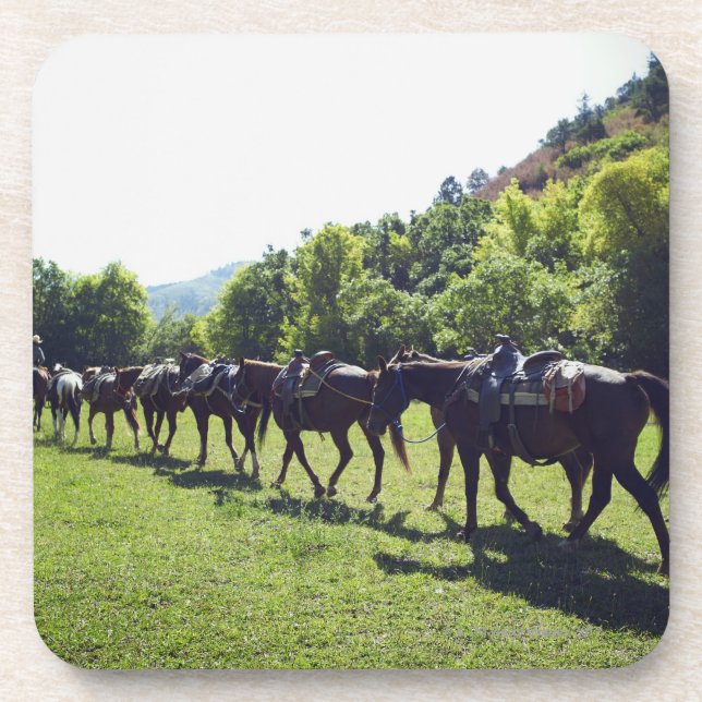 Posavasos Caballos que caminan en una línea (Frente)