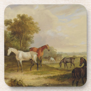 Posavasos Caballos que pastan: Un semental gris que pasta