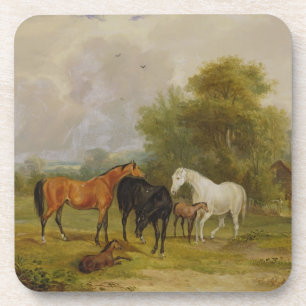 Posavasos Caballos que pastan: Yeguas y potros en un campo