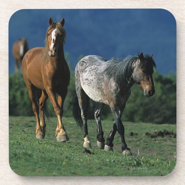 Posavasos Caballos salvajes del mustango (Frente)