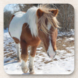 Posavasos Caballos salvajes, vida silvestre, dueños, conjunt