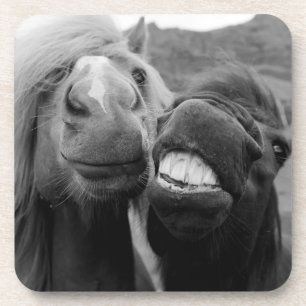 Posavasos Caballos sonrientes de las imágenes el de Getty