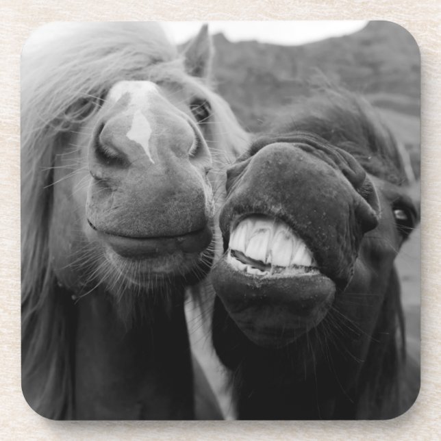 Posavasos Caballos sonrientes de las imágenes el | de Getty (Frente)