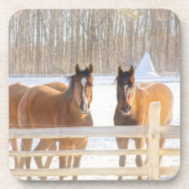 Posavasos Caballos Vermont Invierno Coaster de Plástico Duro