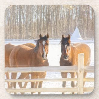 Posavasos Caballos Vermont Invierno Coaster de Plástico Duro