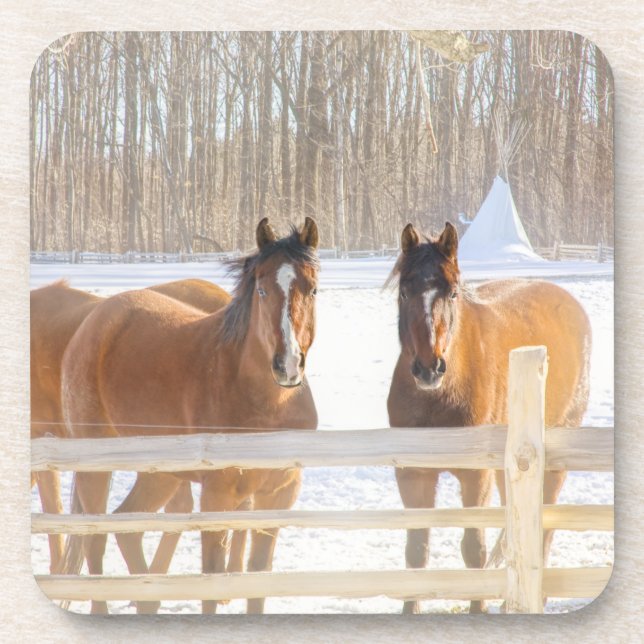 Posavasos Caballos Vermont Invierno Coaster de Plástico Duro (Frente)
