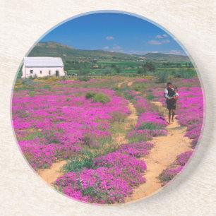 Posavasos Cabaña, flores y niña, cerca de Kamieskroon