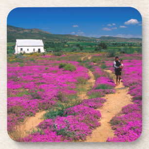 Posavasos Cabaña, flores y niña, cerca de Kamieskroon