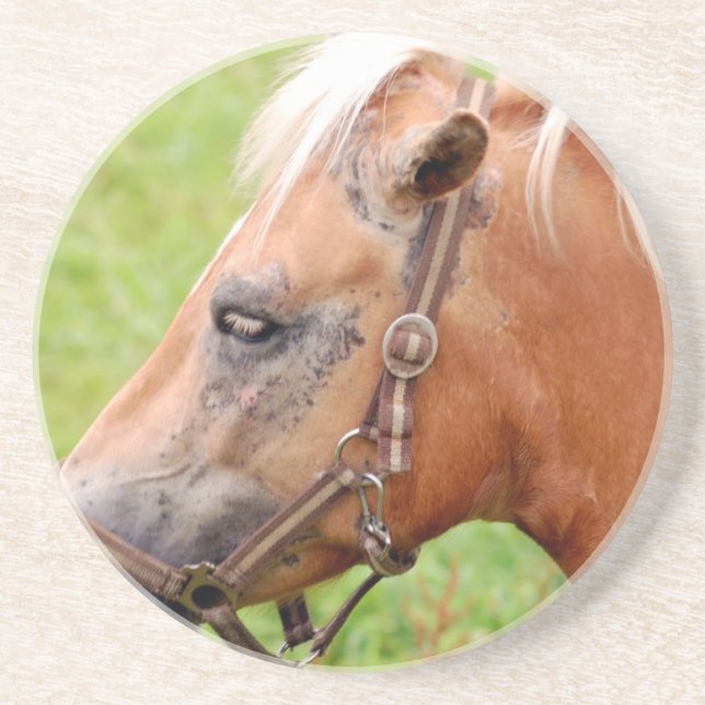 Posavasos Cabeza de caballo 003 (Frente)
