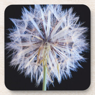 Posavasos Cabeza de semilla de diente de león (Taraxacum Off