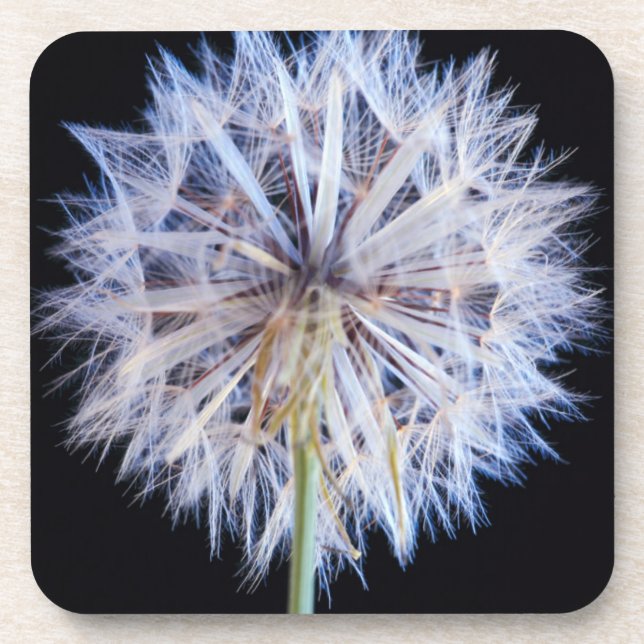 Posavasos Cabeza de semilla de diente de león (Taraxacum Off (Frente)