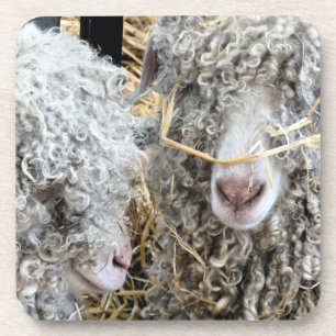 POSAVASOS CABRAS CUTAS