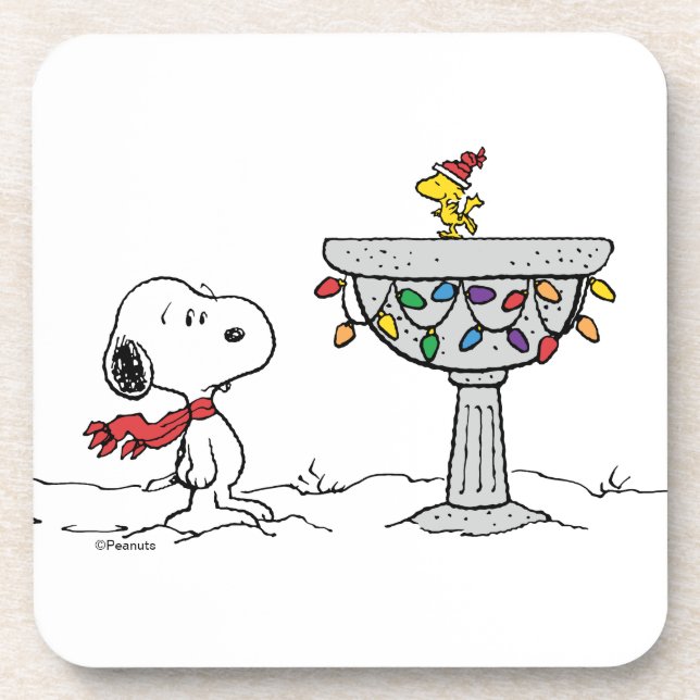 Posavasos Cacahuetes | Baño de aves congelado Snoopy & Woods (Frente)