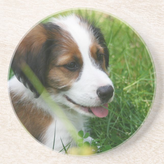 Posavasos Cachorro (Frente)