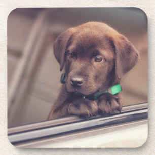 Posavasos Cachorro De Chocolate En Coche