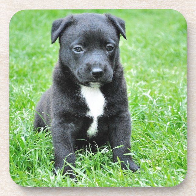 Posavasos Cachorro totalmente adorable (Frente)