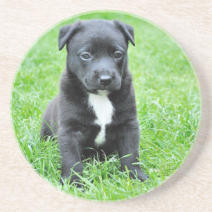 Posavasos Cachorro totalmente adorable