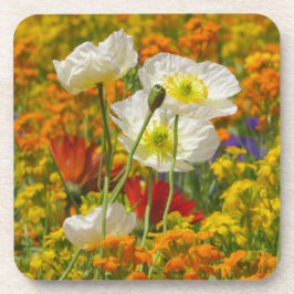 Posavasos Cachorros blancos creciendo alrededor de las flore