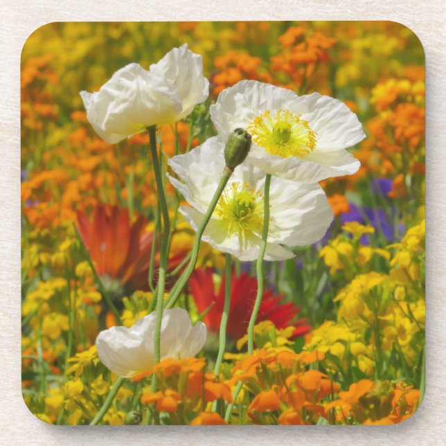 Posavasos Cachorros blancos creciendo alrededor de las flore (Frente)