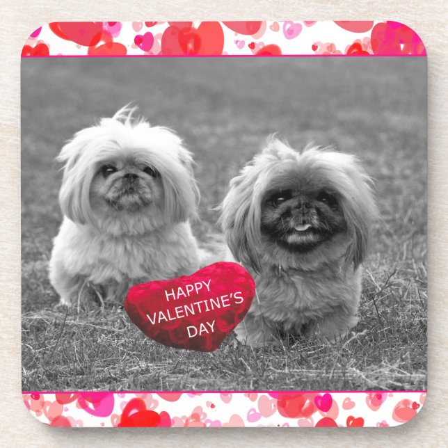 Posavasos Cachorros de Pekín deseando feliz Día de San Valen (Frente)