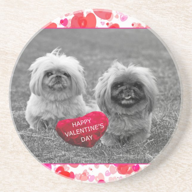 Posavasos Cachorros de Pekín deseando feliz Día de San Valen (Frente)