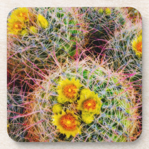 Posavasos Cactus de barril en primer plano, California