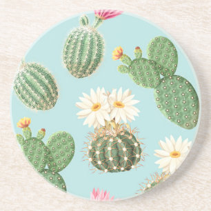 Posavasos Cactus, flores rosas: decoración luminosa