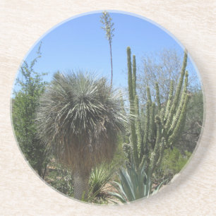 Posavasos Cactus Garden