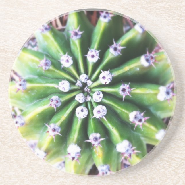 Posavasos Cactus verde (Frente)