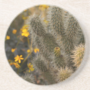 Posavasos cactus y flores silvestres