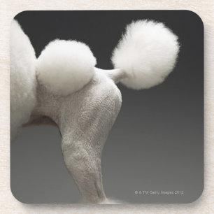 Posavasos Caderas del caniche, en fondo gris
