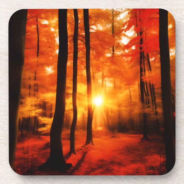 Posavasos Caer en el bosque trasero (Frente)