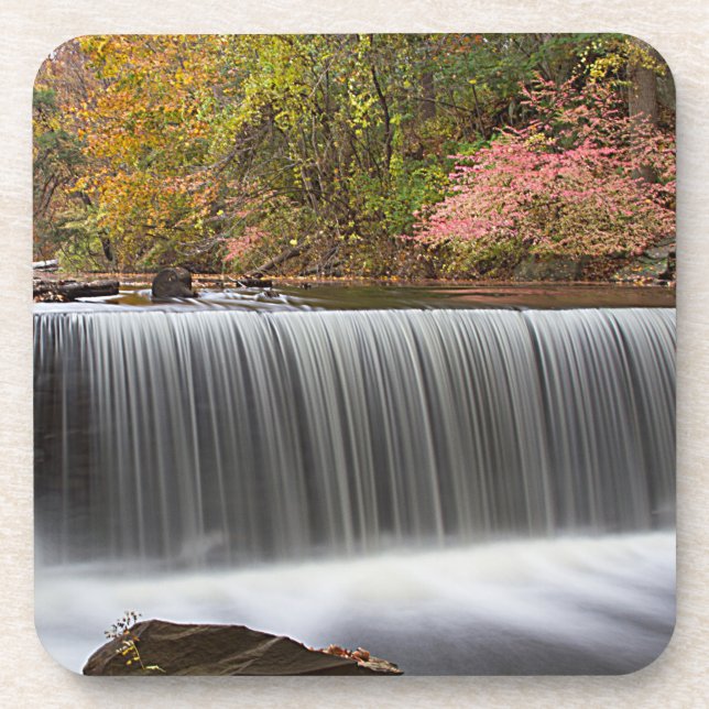 Posavasos Caída de otoño en Vanderbuild (Frente)