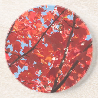 Posavasos Caída Roja