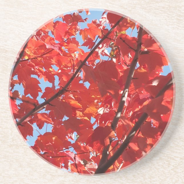 Posavasos Caída Roja (Frente)