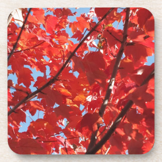 Posavasos Caída Roja