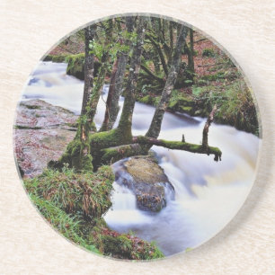 Posavasos Caídas de Golitha, flores de Cornualles,