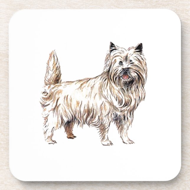 Posavasos Cairn Terrier (Frente)