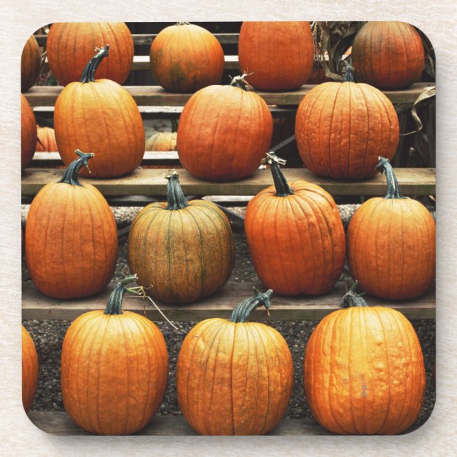 Posavasos Calabazas de otoño (Frente)