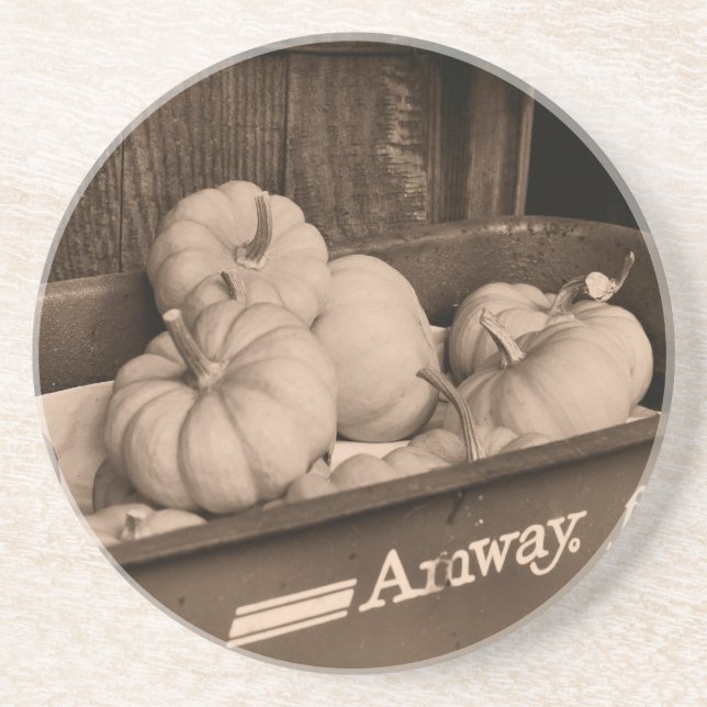 Posavasos Calabazas En La Montaña De La Sepia Del Vagón (Frente)